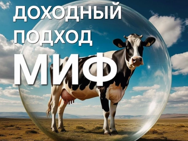 А у вас есть доллар по 30₽ в портфеле? Про ошибку двойного учёта и иллюзию прибыли. Критика доходного подхода