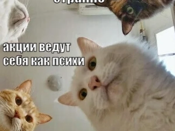 Биржа что, сошла с ума?