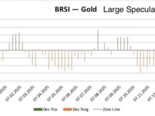 Крупные спекулянты BRSI GOLD