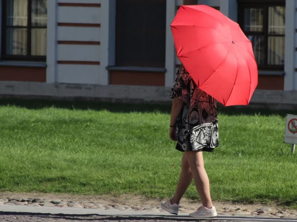 Температурная аномалия и дефицит дождей: итоги первой декады августа в Петербурге