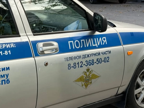 Трех юнцов задержали за нападение на мужчину на проспекте Славы