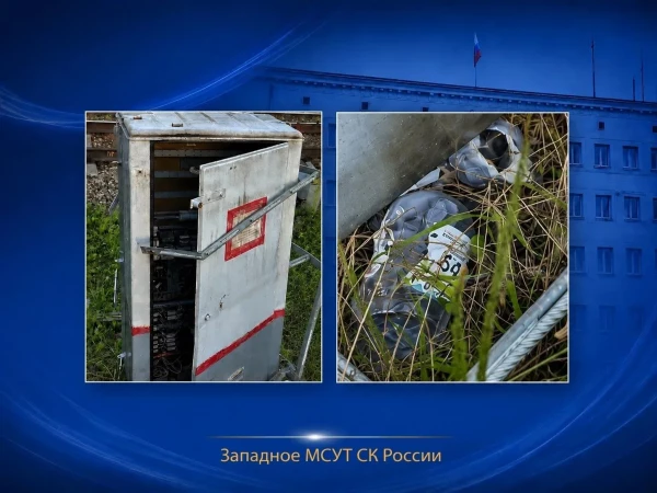 В Москве подросток по указке куратора купил жидкость для розжига и поджег релейные ж/д шкафы