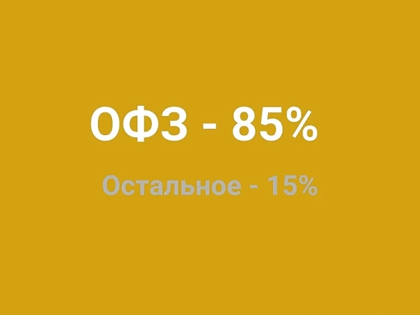 Как я распределяю риски в портфеле (и почему ОФЗ — моя база) 🛡️
