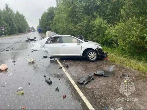 Уголовное дело возбудили после смертельного ДТП с разорванным «Ниссаном» и «Теслой» во Всеволожске
