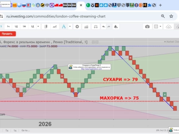 USD/RUB. Рубель, Ти Края Видищь?, или Махро-Сухарный Ренко-Взгляд.