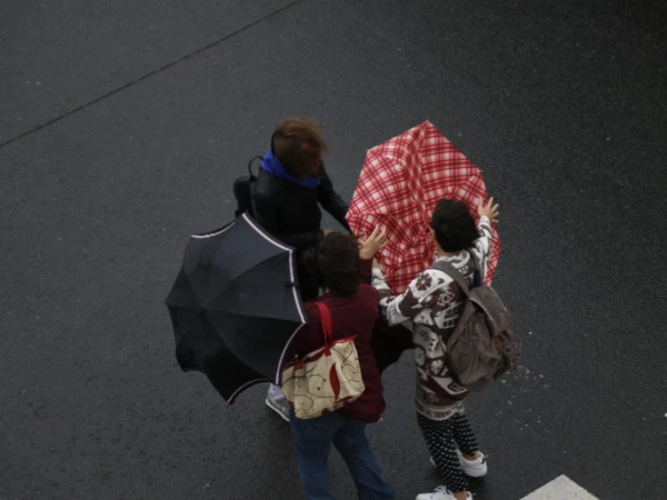МЧС: ветер до 18 м/с налетит на Петербург 19 августа