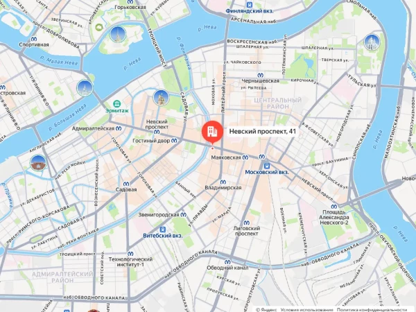 В полиции Петербурга раскрыли подробности ДТП с пешеходами на Невском проспекте