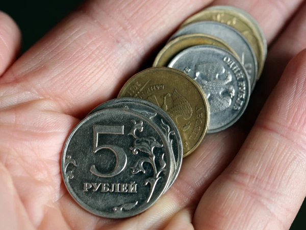 Посмотрите в кошелек и найдите 2 копейки этого года: сколько стоит и можно ли купить на нее дом в деревне