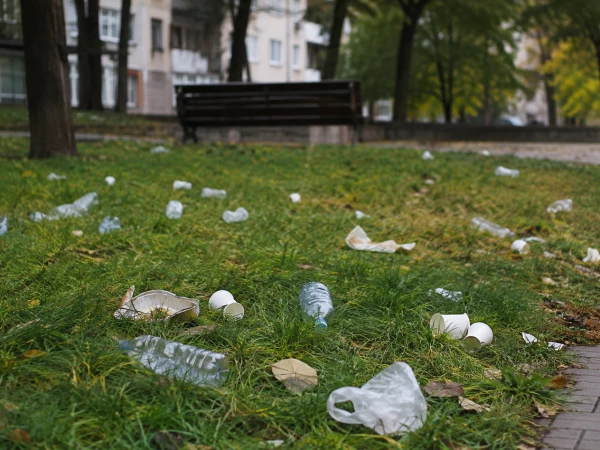 Горожане возмущены стихийными свалками и халатностью коммунальных служб
