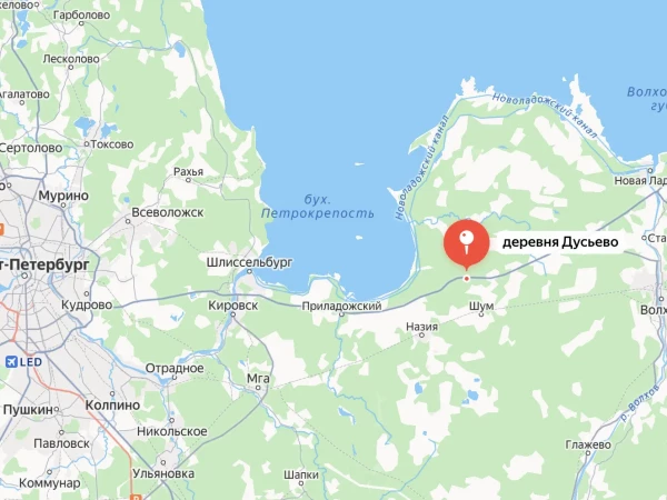 Водитель и пассажир «Лады Гранты» погибли при вылете в кювет под Кировском