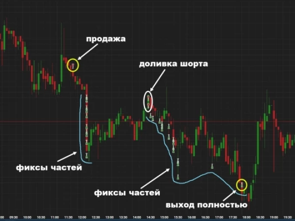 Пошортил ВКонтакте