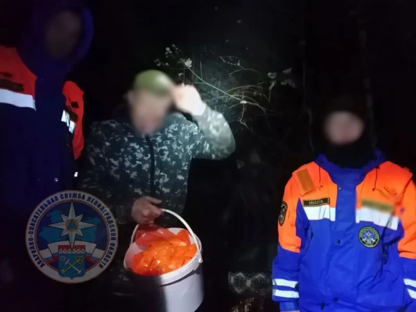 Двое грибников в камуфляже провели ночь среди елок у Коммунар