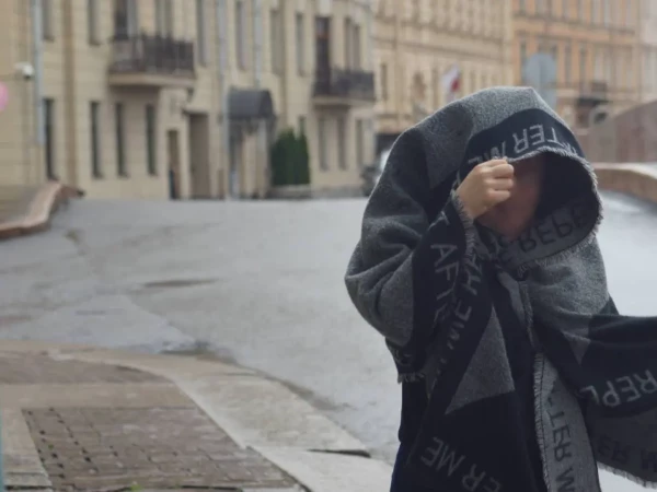 Пятницу в Петербурге омрачит ветер порывами до 15 м/с