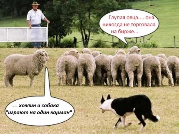 Почему на смартлабе запрещено публиковать инфу от ИИ?