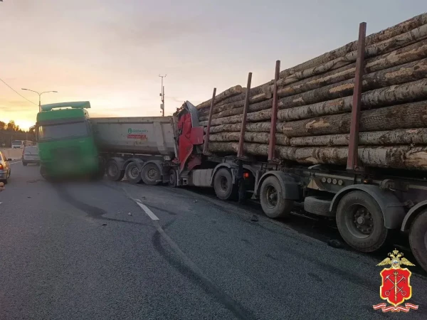 Полиция показала фото и видео с места смертельного ДТП на «Скандинавии»