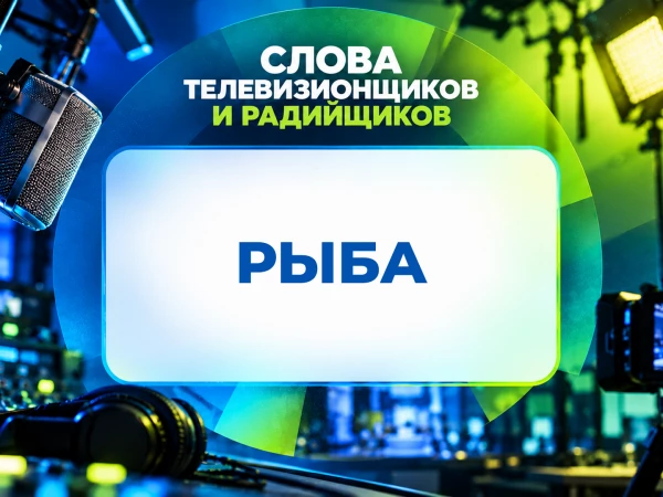 «Дай рыбу» и «сделай шапку». На каком языке говорят профессиональные журналисты? Карточки