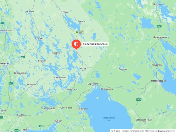 Погранохрана Финляндии назвала локацию самого частого нарушения границы с Россией