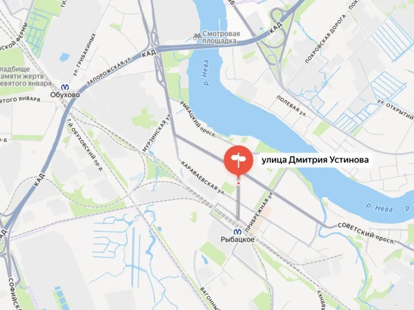 СК задержал 19-летнего петербуржца по подозрению в убийстве матери