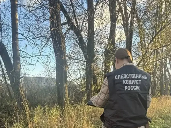 Расчленённые останки тела человека нашли на проспекте Народного Ополчения