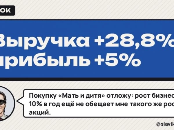 Выручка +28,8%, прибыль +5%