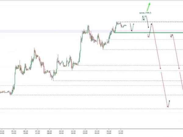 Северсталь, от разбора до профита