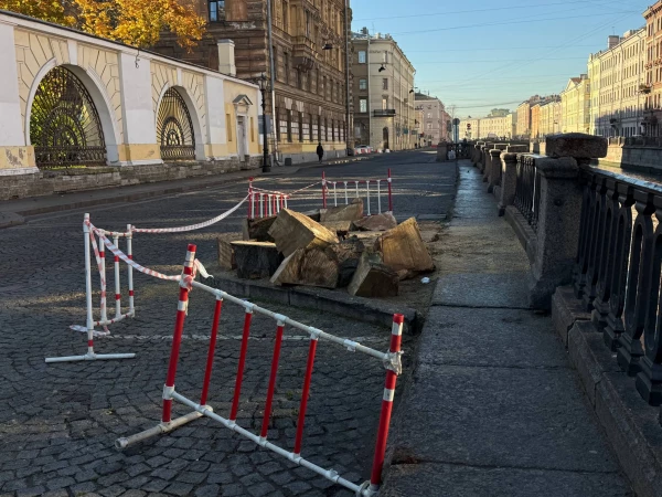 Пенек от спиленного берлинского тополя до сих пор лежит у Банковского моста