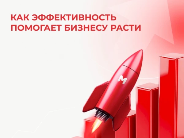 📌 Как эффективность помогает бизнесу расти