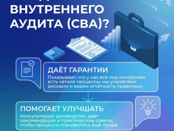 Как устроен внутренний аудит в «Озон Фармацевтика»