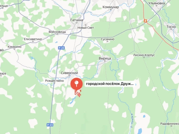 Учителя математики, подозреваемого в убийстве 2-летнего сына и тещи и покушении на жизнь сожительницы, задержали — СК