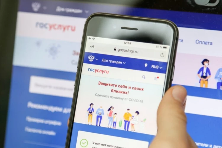 Пожаловаться на интернет-монополиста теперь можно на «Госуслугах»