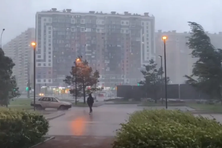 На Комендантском проспекте стена дождя и сильный ветер — видео от читателя Мойки78