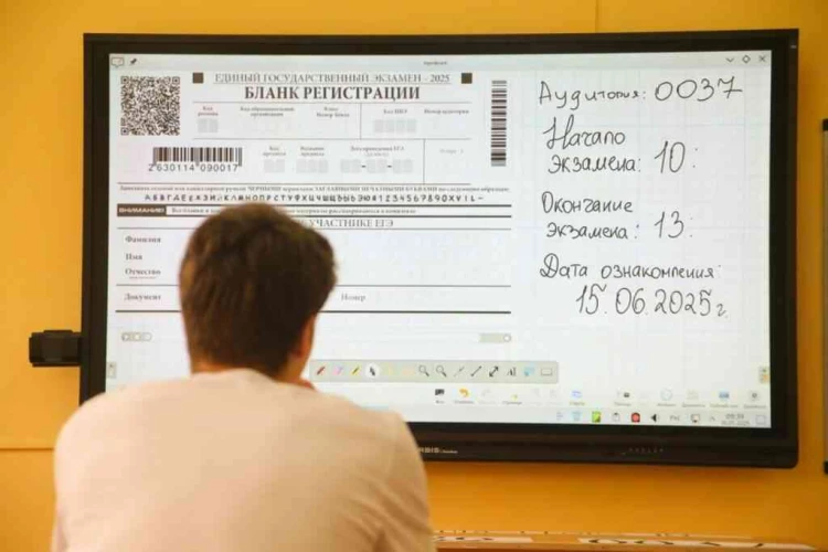 Рособрнадзор: ошибка в ЕГЭ по русскому языку не препятствовала выполнению задания