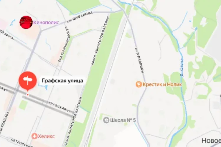 В Мурино шашлычник угодил из поля в полицию после стрельбы из сигнального пистолета