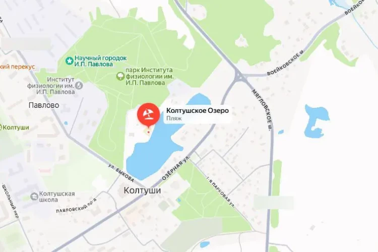 Юноша утонул в Колтушском озере