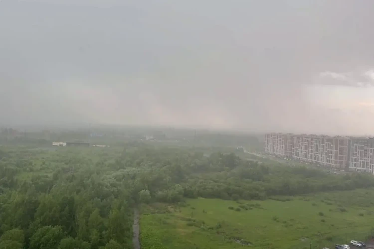 Какие районы Петербурга залило сильнее всего