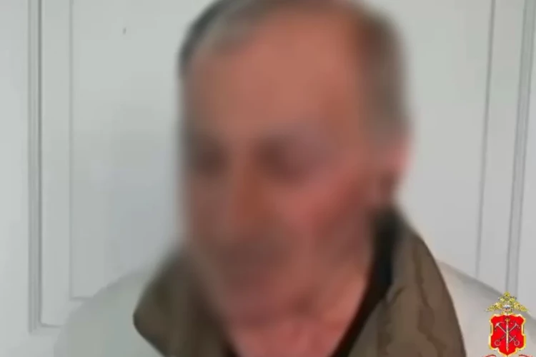 Суд не стал арестовывать пенсионера, обвиняемого в поджоге машин из-за сбитого кота на Дунайском проспекте