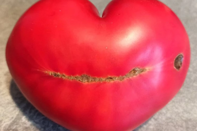 ❤️ Не унывайте, посоны! ❤️