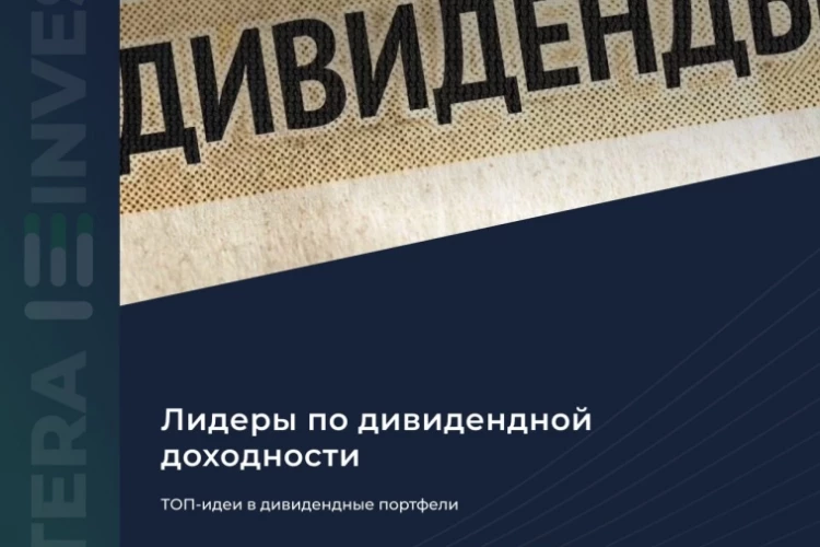💰 ТОП-идеи в дивидендные портфели