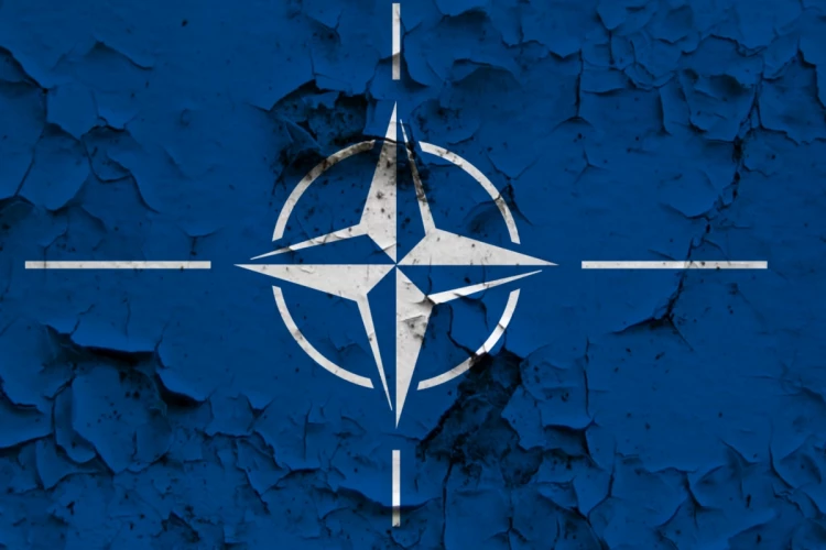 Турция заявила, что НАТО адаптируется, США войска не выводят