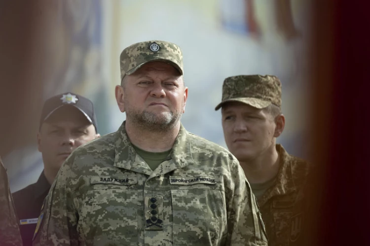 СМИ сообщили о секретной встрече Зеленского и Залужного по теме выборов