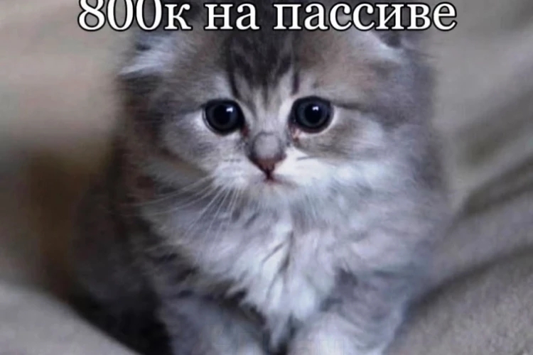 Потратил 371 000 рублей на фондовом рынке в июне! Куда ушли деньги?😳