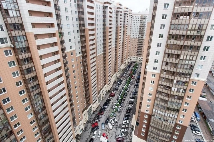 "человейники" убивают психическое здоровье