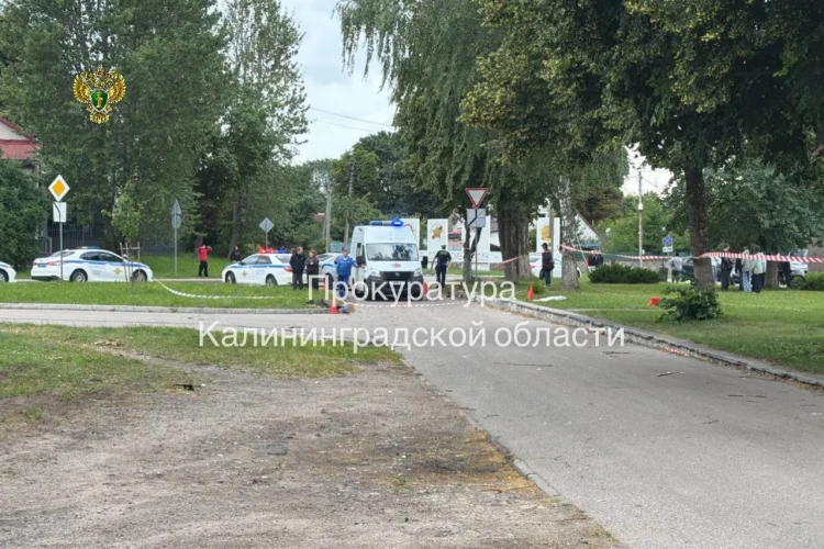 Сбитая пьяным водителем в Калиниграде годовалая девочка находится в коме