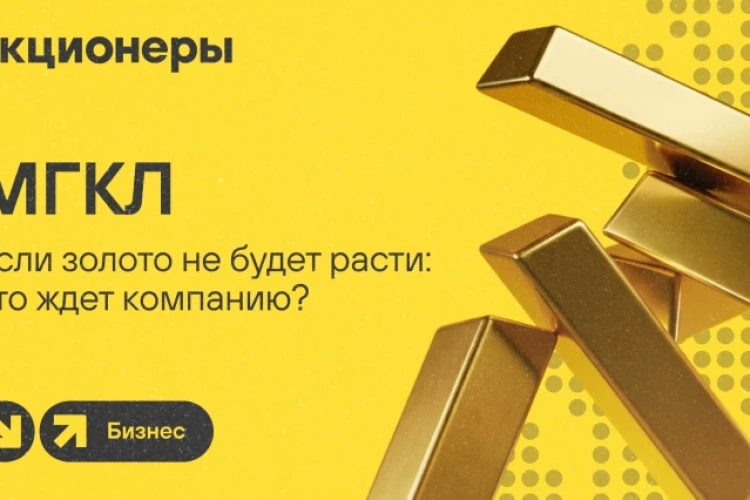 «Акционерам» рассказали о работе оптового направления Группы «МГКЛ»