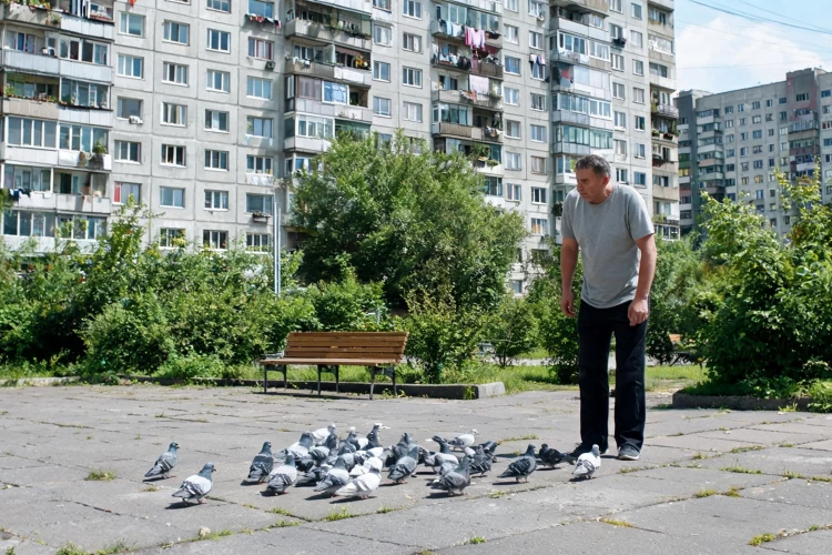 Кажутся безобидными, но лучше не трогать: какие болезни могут переносить голуби