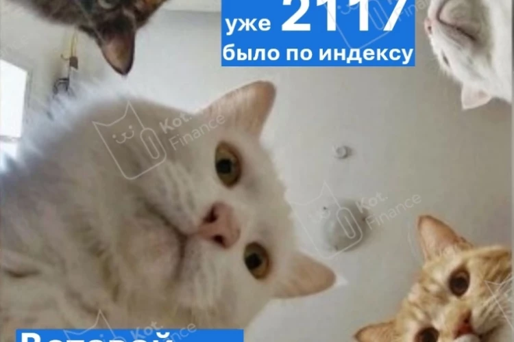 🐈‍⬛Эльвира, вставай, мы всё уронили
