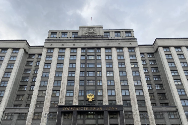 Госдума рассмотрит запрет проживания в России мигрантам с судимостью в любой стране
