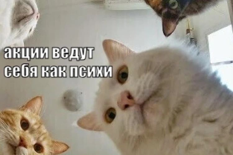 Биржа что, сошла с ума?