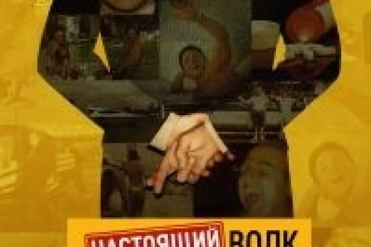 Настоящий Волк с Уолл-Стрит (мини сериал)