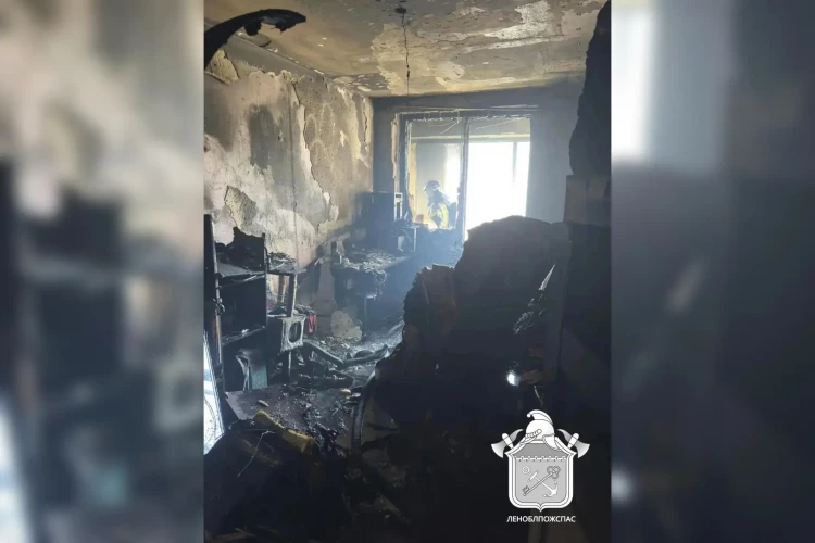 В Кудрово 18 человек спасли из ЖК «Лондон», где сгорела двухкомнатная квартира: кадры